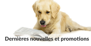 Dernières nouvelles | Carrefour Canin
