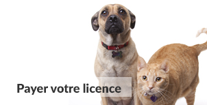 Payer votre licence | Carrefour Canin