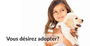 Vous désirez adopter | Carrefour Canin